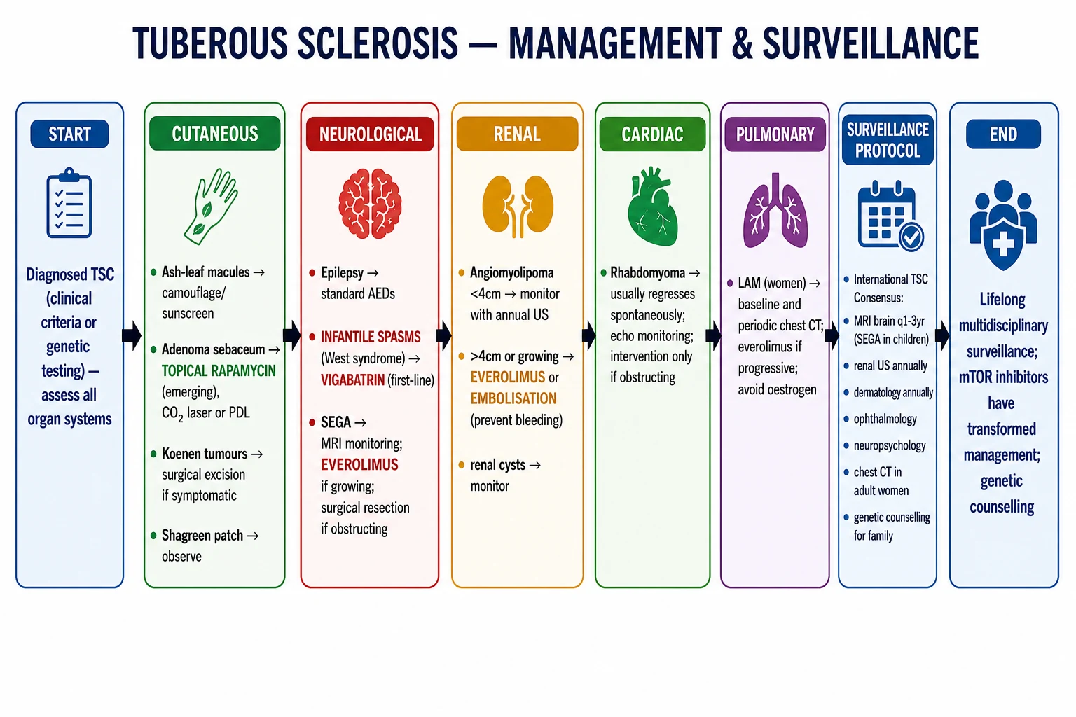 Stepwise treatment algorithm for TSC across organ systems: mTOR inhibition, ASM, AML embolisation, LAM pleurodesis, topical and procedural skin therapy, vigabatrin for infantile spasms