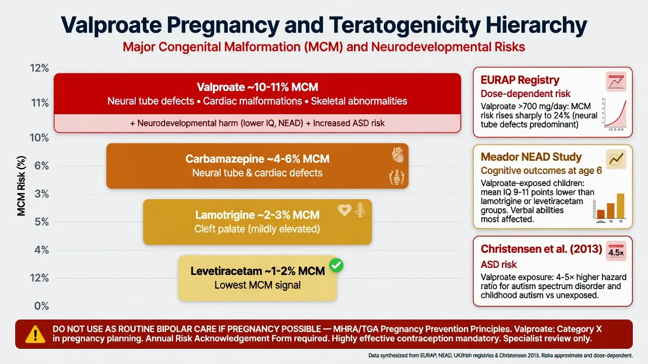 Valproate formulations and ranked clinical roles with pregnancy-prevention caution panel