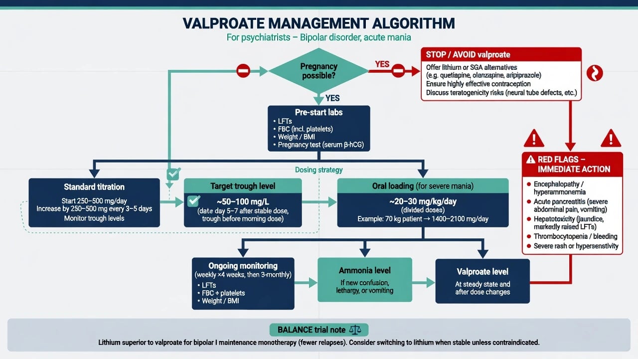 Ranked teratogenicity hierarchy showing valproate highest major malformation and neurodevelopmental risk with EURAP NEAD Christensen callouts