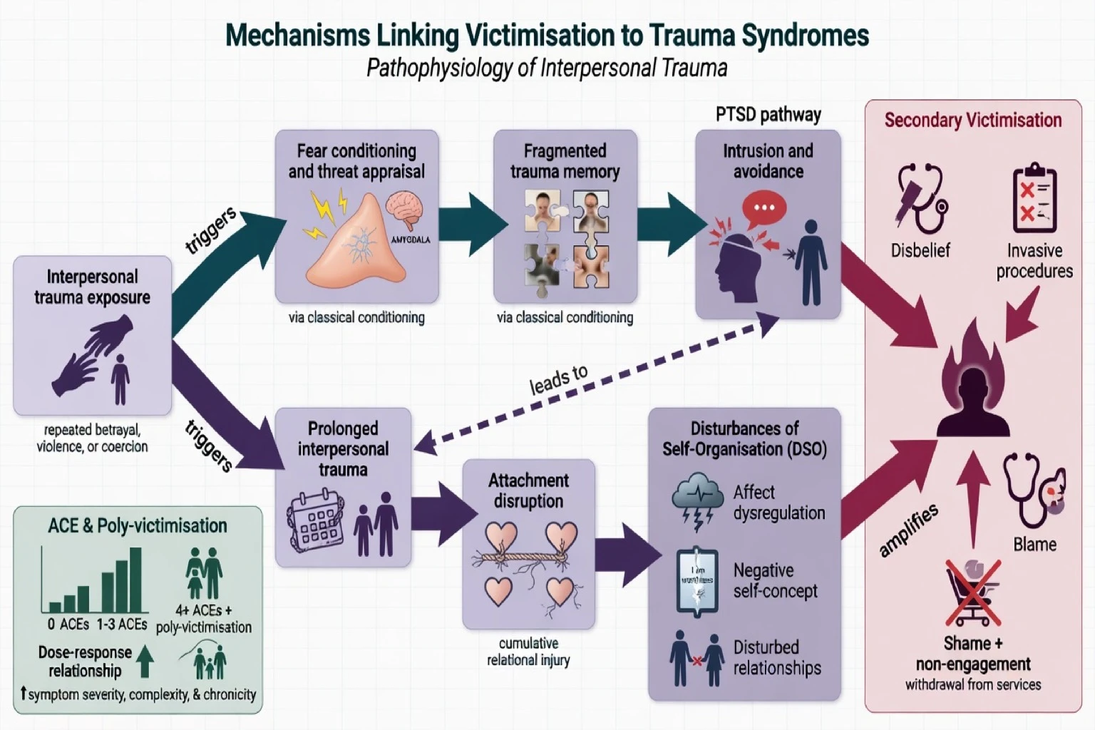 Mechanisms from interpersonal trauma to PTSD and complex PTSD including secondary victimisation amplification
