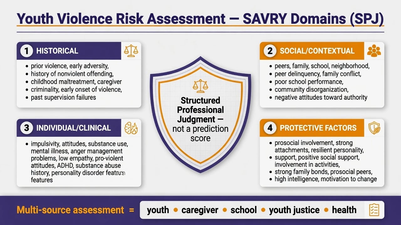 SAVRY structured professional judgment domains: historical, social-contextual, individual-clinical, and protective factors with multi-source assessment banner